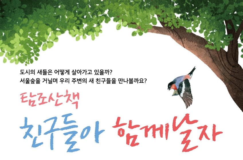 [서울][서울숲공원] 탐조산책: 친구들아 함께날자