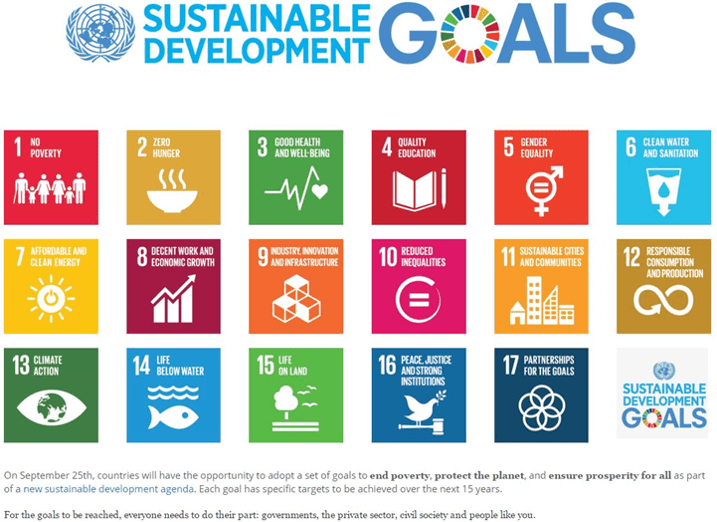 
								sustainable development GOALS