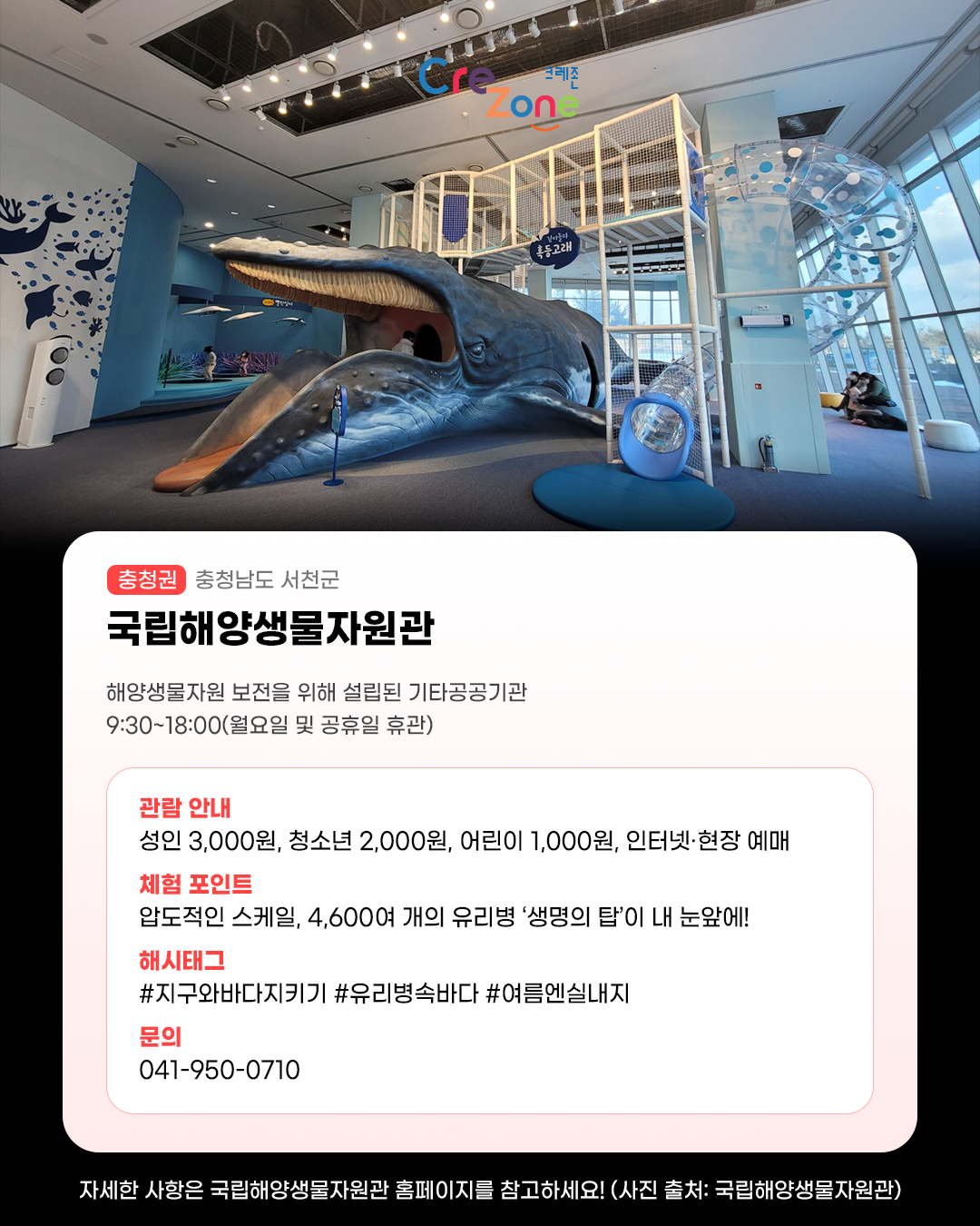 어린이체험전시실 '바다마을 고래고래' 같이놀자 혹등고래 사진국립해양생물자원관 - (충청권) 충청남도 서천군해양생물자원 보전을 위해 설립된 기타공공기관9:30~18:00(월요일 및 공휴일 휴관)관람안내: 성인 3,000원·청소년 2,000원·어린이 1,000원, 인터넷·현장 예매체험포인트: 압도적인 스케일, 4,600여 개의 유리병 '생명의 탑‘이 내 눈앞에!해시태그: #지구와바다지키기 #유리병속바다 #여름엔실내지문의: 041-950-0710자세한 사항은 국립해양생물관 홈페이지를 참고하세요! (사진 출처: 국립해양생물자원관)