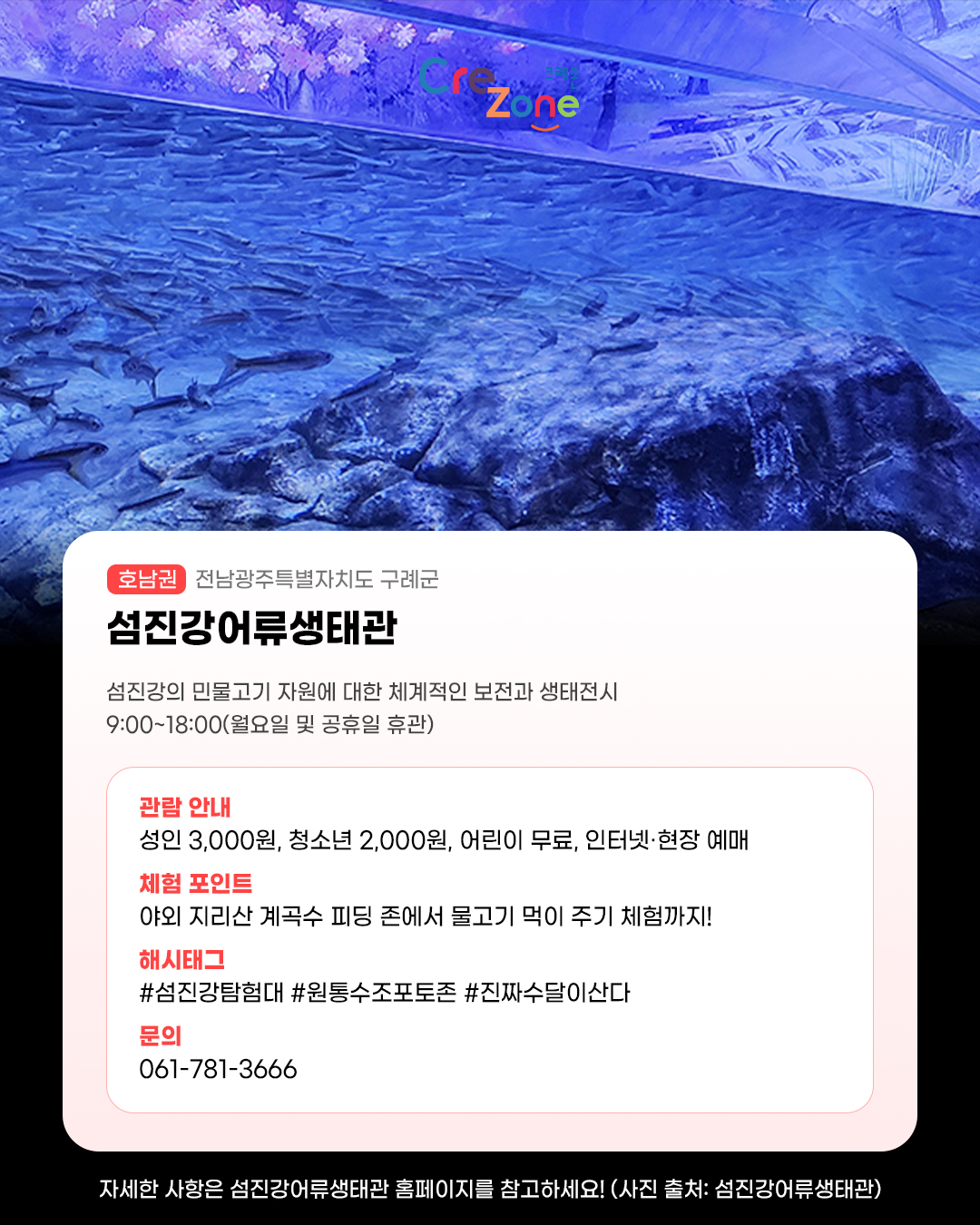 섬진강어류생태관 제 2전시장 물과 생명의 공간 사진
섬진강어류생태관 - (호남권) 전남광주특별자치도 구례군

섬진강의 민물고기 자원에 대한 체계적인 보전과 생태전시
9:00~18:00(월요일 및 공휴일 휴관)

관람안내: 성인 3,000원·청소년 2,000원·어린이 무료, 인터넷·현장 예매
체험포인트: 야외 지리산 계곡수 피딩 존에서 물고기 먹이 주기 체험까지!
해시태그: #섬진강탐험대 #원통수조포토존 #진짜수달이산다
문의: 061-781-3666

자세한 사항은 섬진강어류생태관 홈페이지를 참고하세요! (사진 출처: 섬진강어류생태관)