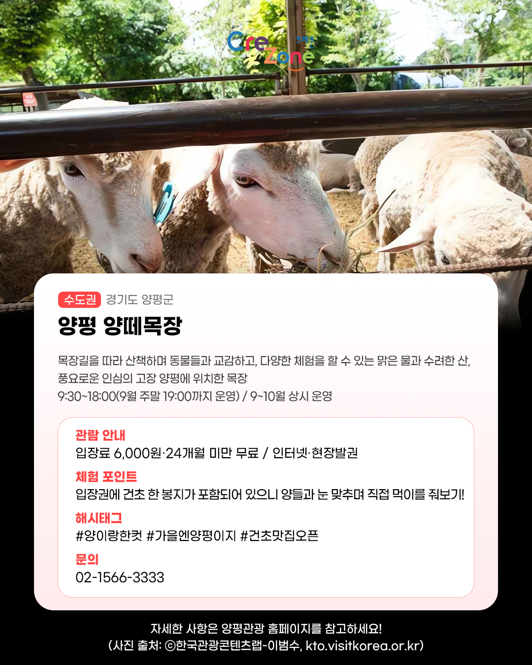크레존 로고
양평 양떼목장 - (수도권) 경기도 양평군
목장길을 따라 산책하며 동물들과 교감하고, 다양한 체험을 할 수 있는 맑은 물과 수려한 산, 풍요로운 인심의 고장 양평에 위치한 목장
9:30~18:00(9월 주말 19:00까지 운영) / 9~10월 상시 운영

관람안내: 입장료 6,000원·24개월 미만 무료 / 인터넷·현장발권
체험포인트: 입장권에 건초 한 봉지가 포함되어 있으니 양들과 눈 맞추며 직접 먹이를 줘보기!
해시태그: #양이랑한컷 #가을엔양평이지 #건초맛집오픈
문의: 02-1566-3333

자세한 사항은 양평관광 홈페이지를 참고하세요! (사진 출처: ⓒ한국관광콘텐츠랩-이범수, kto.visitkorea.or.kr)