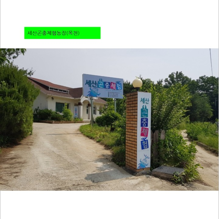 곤충아 놀자~