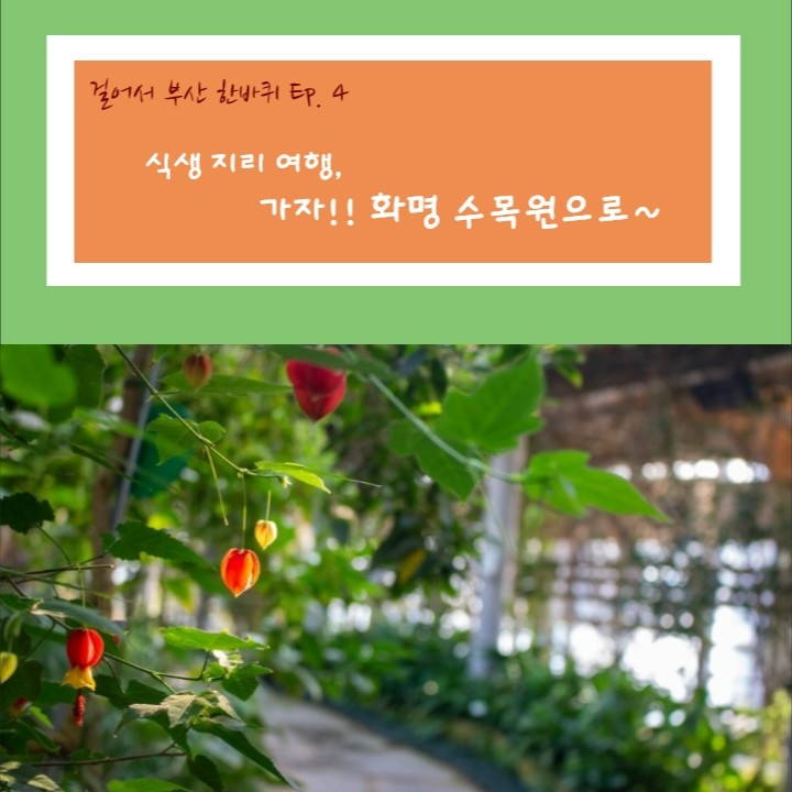 부산 지리와 역사 4 <식생 지리 여행, 가자!! 화명 수목원으로~>