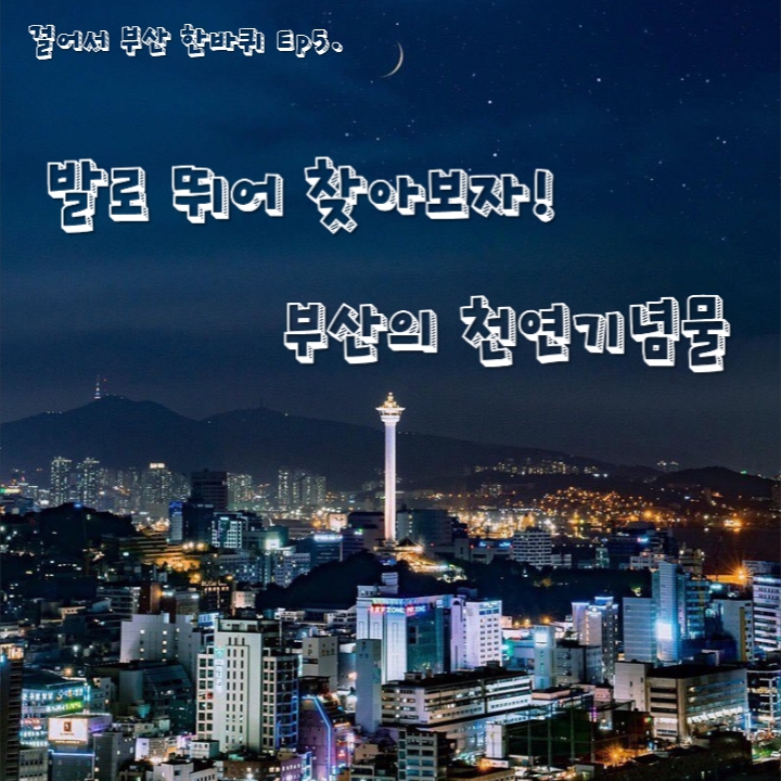 부산 지리와 역사 5 <발로 뛰어 찾아보자! 부산의 천연기념물 1>
