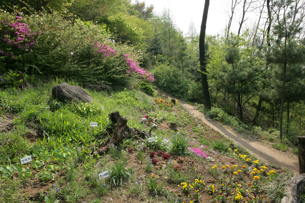 매봉산 - 우리동네숲체험교실
