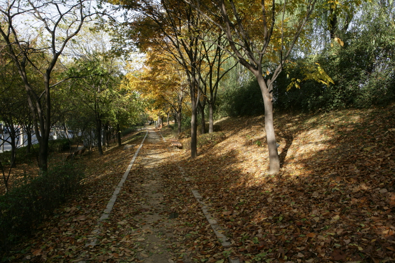 송정제방공원-제방공원 가족 나들이