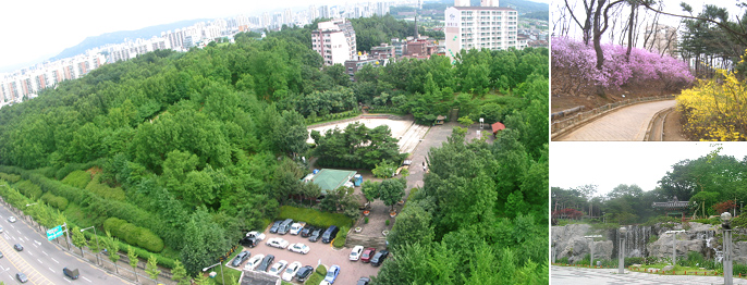 도시속의 자연을 알려요!