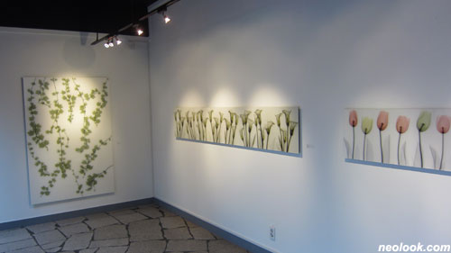 미술관전시작품 감상