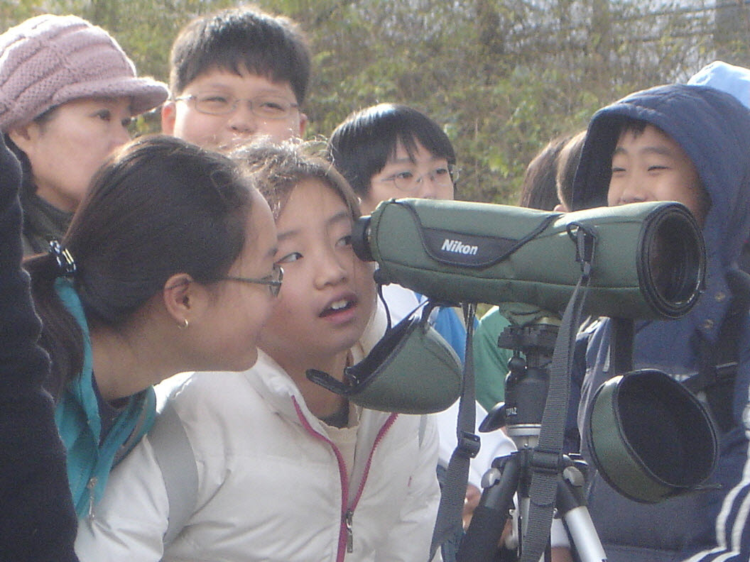 청계천 철새보호구역