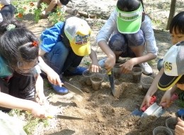 나도 텃밭 농부