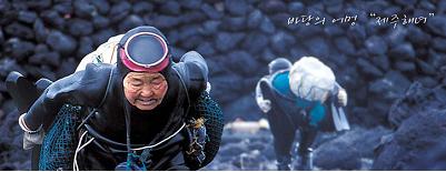 [제주][해녀박물관] 제주바다와 해녀의 삶에 대해 알아보기