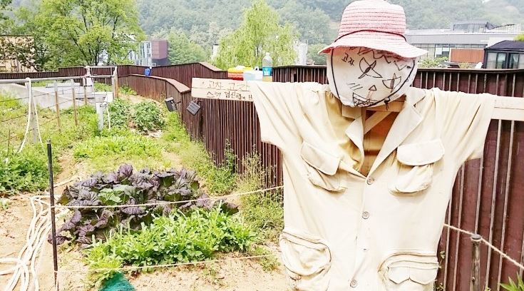  생태텃밭과 함께하는 '창의 예술'