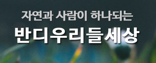 그림책으로 배우는 세시풍속이야기