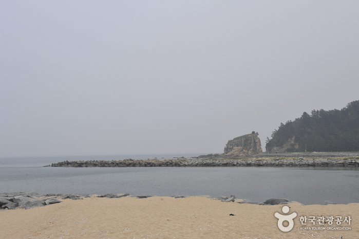 염전해변