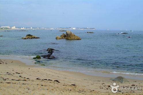 영진해변(영진해수욕장)