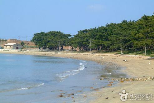 청산 지리해수욕장(지리청송해변)