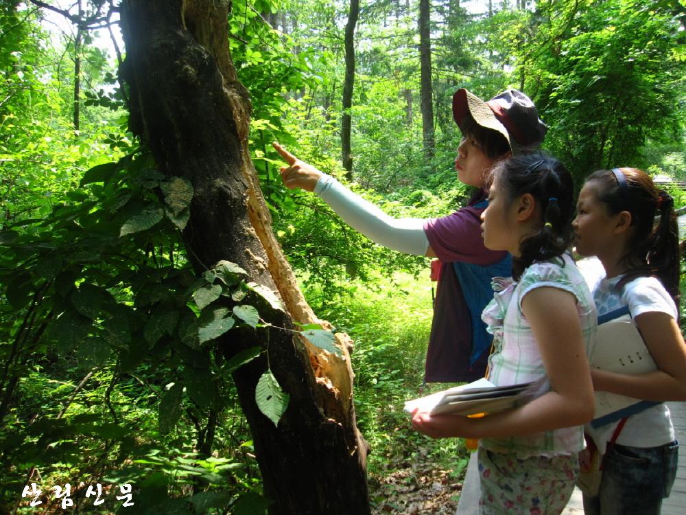 [국립수목원]여름방학 산림생물학교