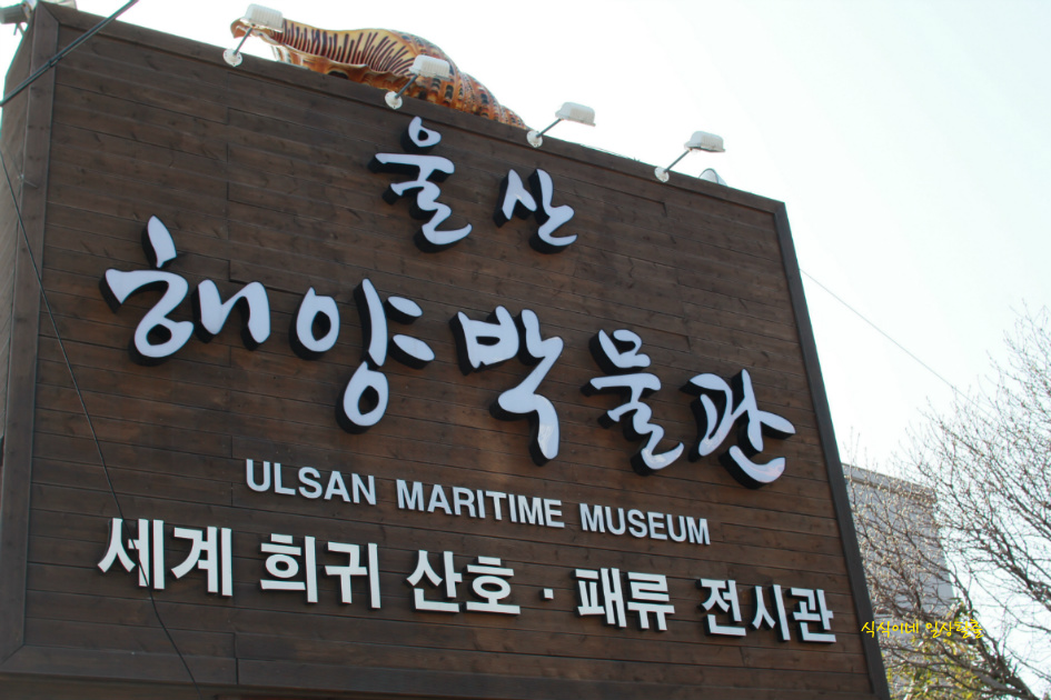 [울산해양박물관]산호와 패류의 나라로 GO!