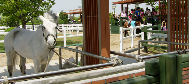 서울경마공원 (렛츠런파크)