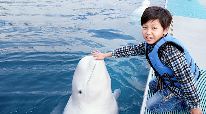 [경남] 돌고래조련사 직업체험 