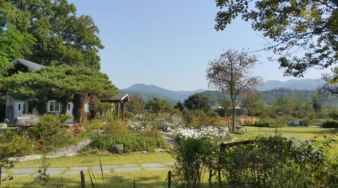 식물과 함께하는 참살이 탐구(채림효원)
