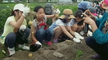 우리 지역 융복합 산업 클러스터를 찾아서 (횡성군 농업기술센터)