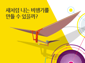 [제주] 새처럼 나는 비행기를 만들 수 있을까?