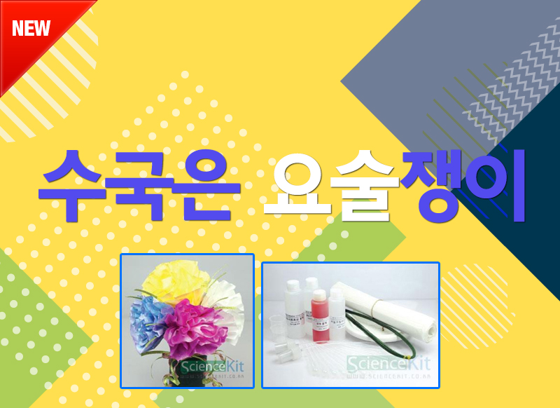 [대구] 수국은 요술쟁이
