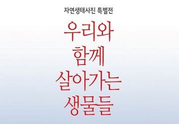 [경기] 자연생태사진특별전 우리와 함께 살아가는 생물들