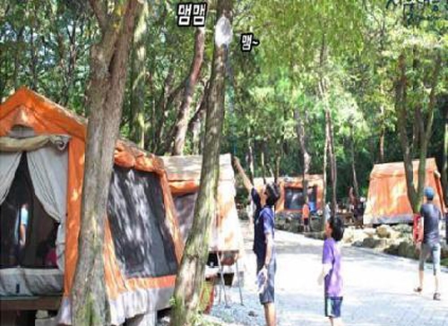 [경기][서울대공원]2018 1박 2일 여름캠프, 숲속교실(여름방학 특별프로그램)