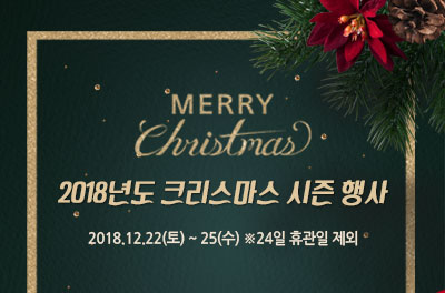 [광주] 국립광주과학관 2018년도 크리스마스 시즌 행사