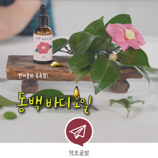 [온라인][서울한방진흥센터] 약초공방 온라인 교육