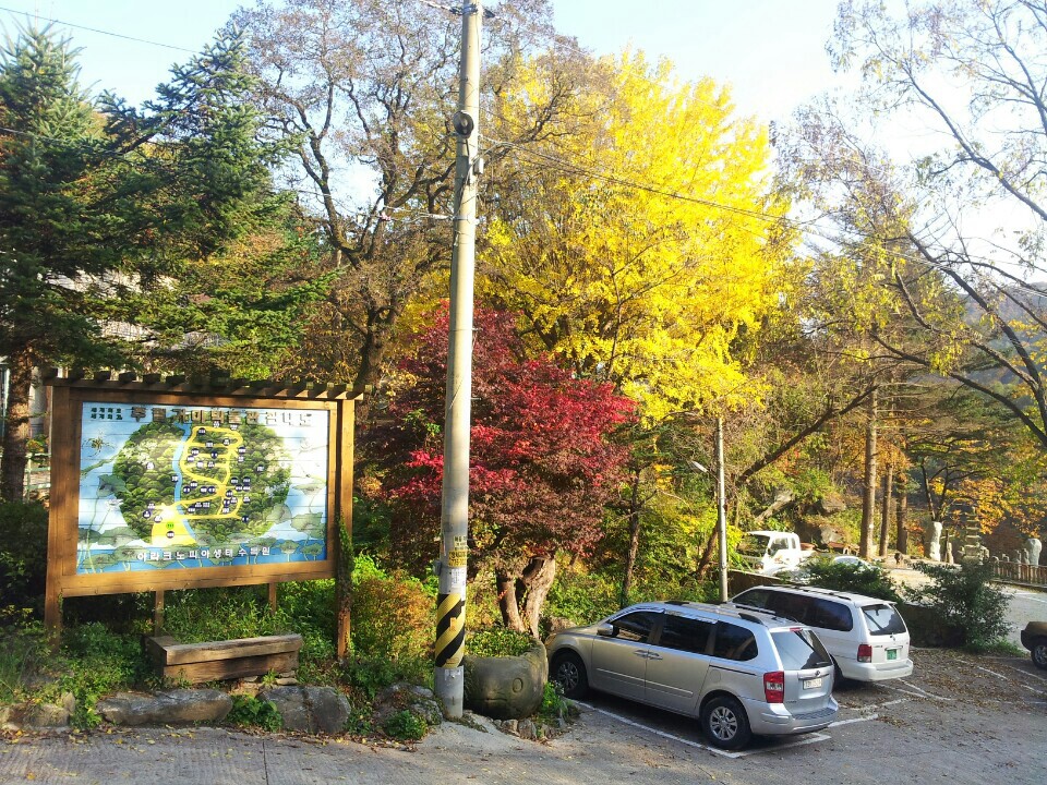 [경기][주필거미박물관] 아라크피아 생태학교