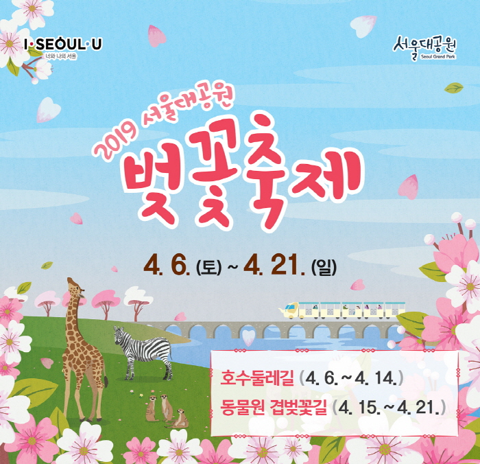 [경기][서울대공원] 2019 서울대공원 벚꽃축제