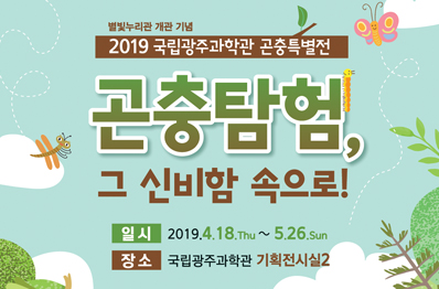 [광주][국립광주과학관] 2019 곤충특별전 : 곤충탐험 그 신비함 속으로