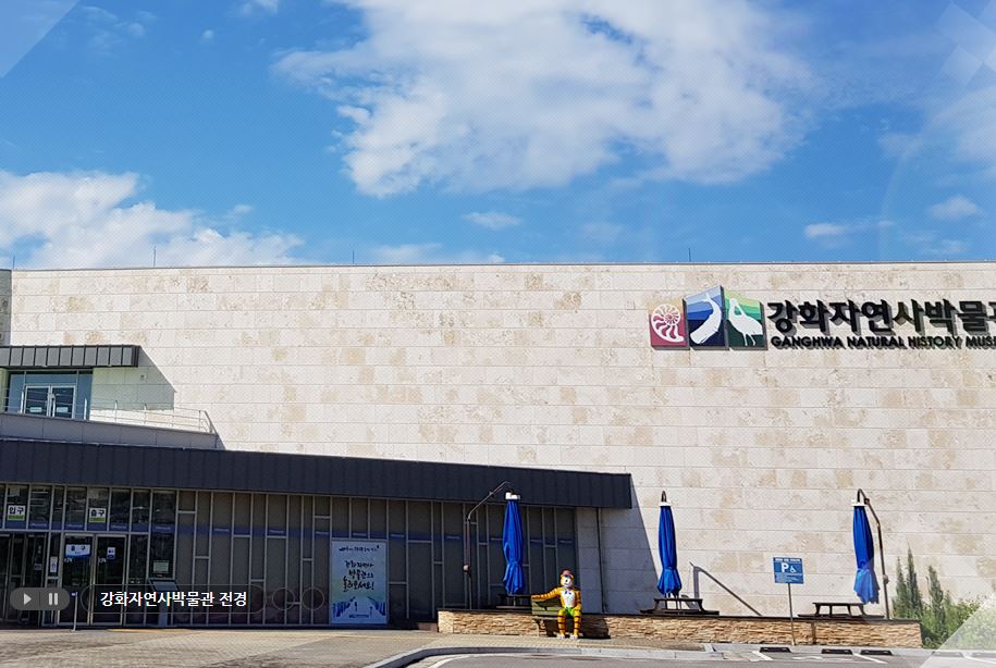 [인천] [강화자연사박물관] 주말 교육프로그램