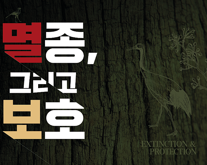 [부산][해양자연사박물관] 2020년 상반기 기획전 『멸종, 그리고 보호』