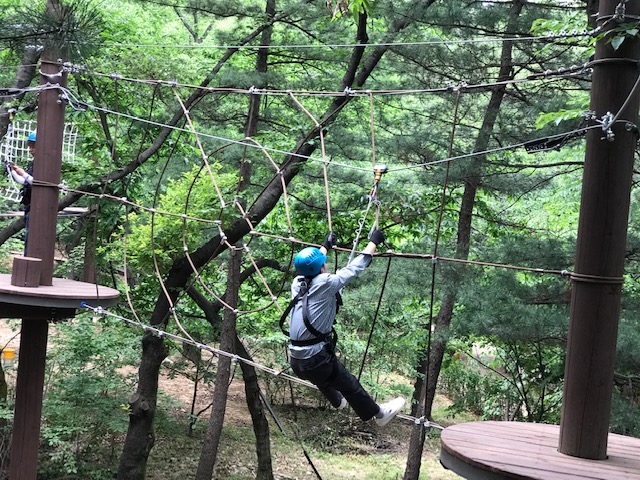 [서울][관악산] 관악산 모험숲 2019 