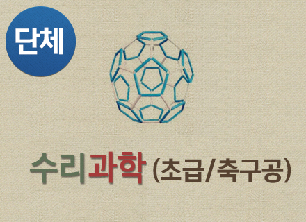 [대구] [국립대구과학관] 수리과학(초급/축구공)