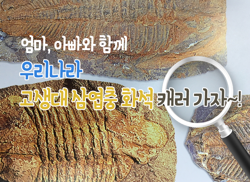 [대구] [국립대구과학관] 엄마, 아빠와 함께 우리나라 고생대 삼엽충 화석 캐러 가자
