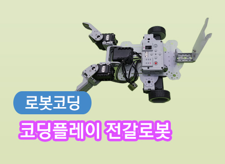 [대구] [국립대구과학관] 코딩플레이 전갈로봇