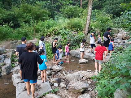 [경기][서울대공원] 와글와글청계숲 낮마실, 밤마실 (2019년 7,8월) 숲해설(캠프장)