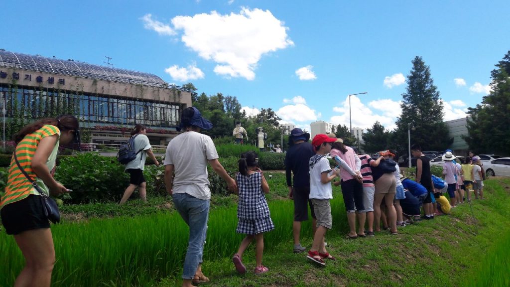 [서울][농업기술센터] 2019년 여름철 어린이 자연학교