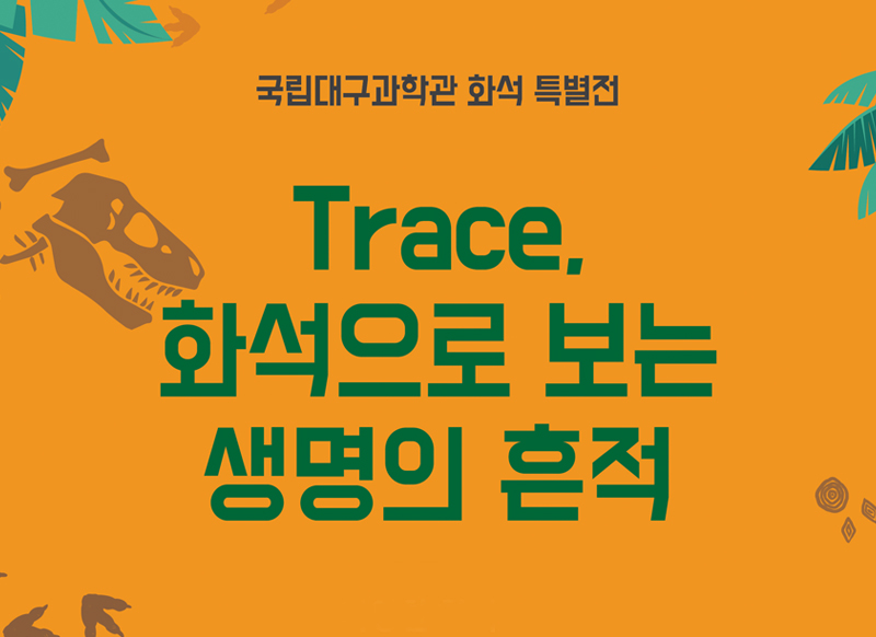 [대구][국립대구과학관] 2019년 가을 화석 특별전 Trace 화석으로 보는 생명의 흔적