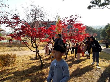 [서울][율현공원] 자연놀이터