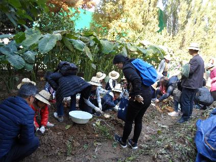 [서울][보라매공원] 절기와 세시풍속