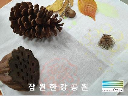 [서울][잠원한강공원] 씨앗들의 여행 2019년 11월