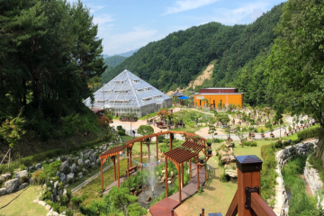 양구수목원 (DMZ야생동물생태관, DMZ야생화분재원, 목재문화체험관, 양구생태식물원)