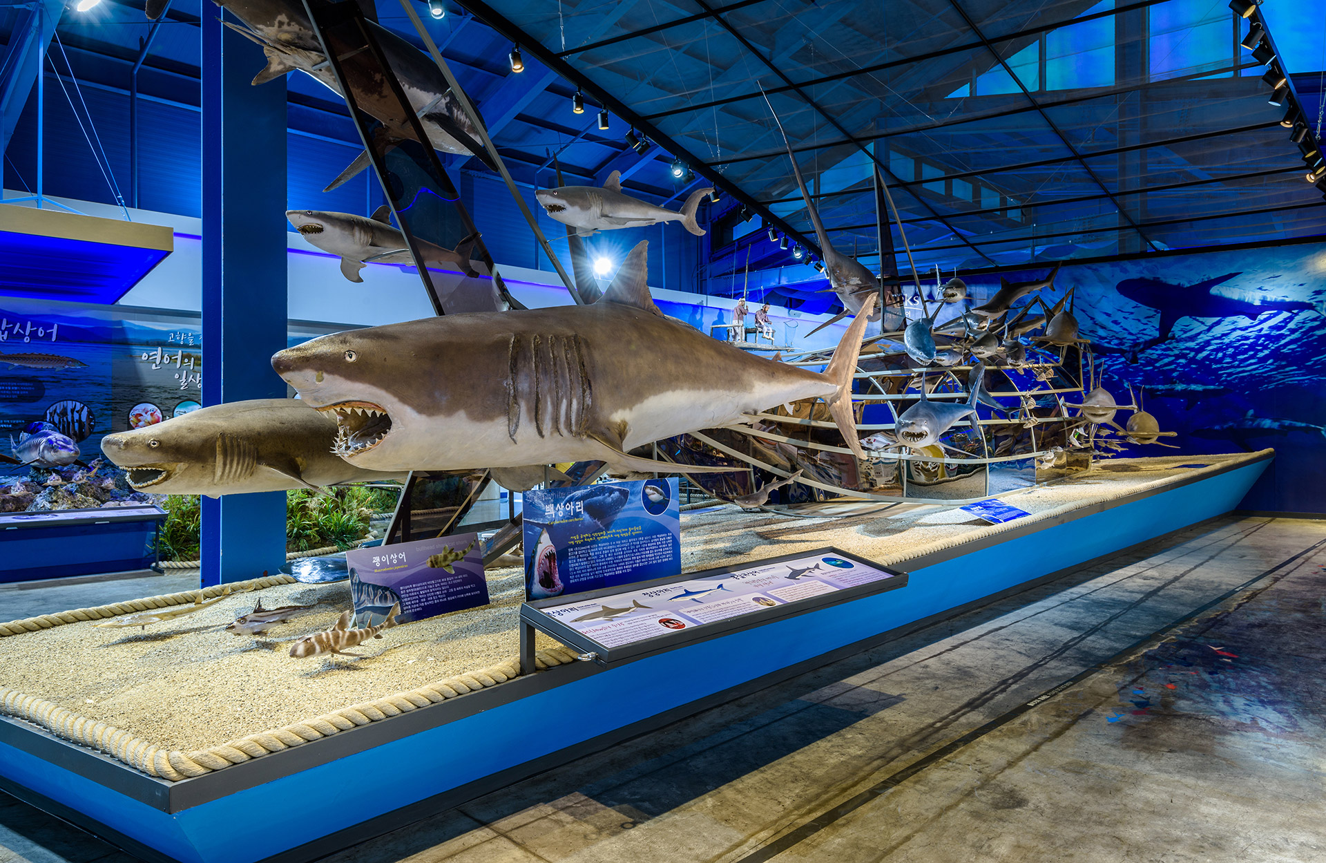 [제주][서귀포]제주해양동물박물관