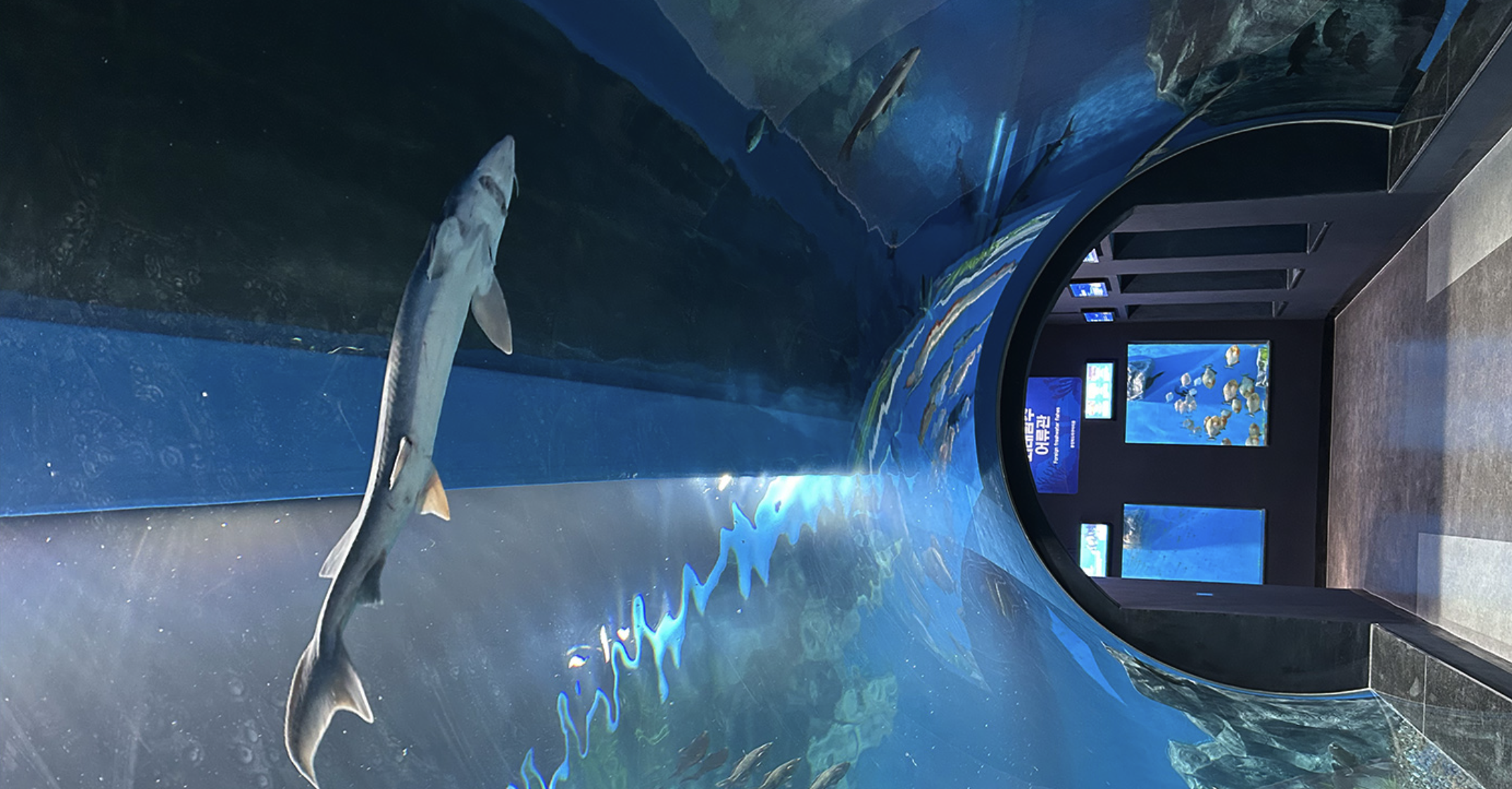 [충북] 충북아쿠아리움